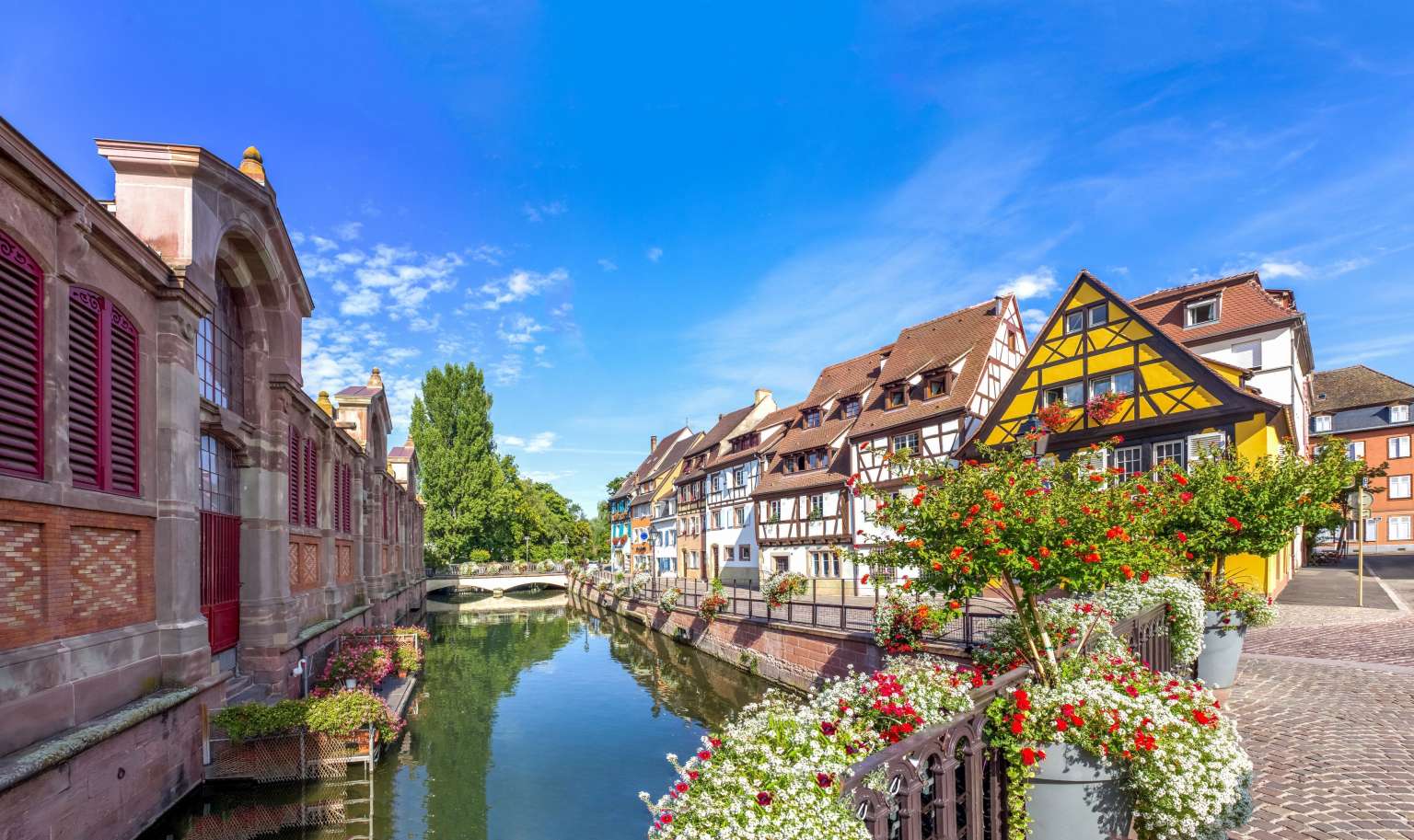 Le printemps à Colmar au Colombier Suites
